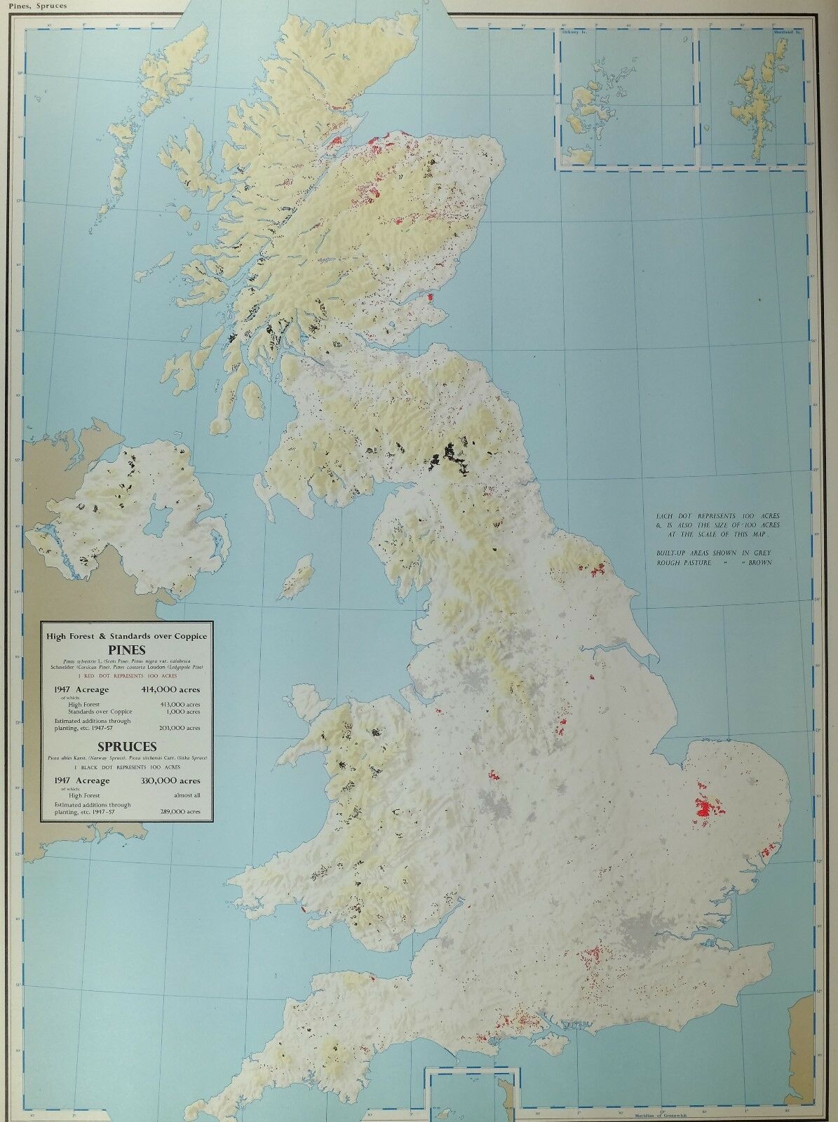 Vintage Large Map Of Britain Pines High Forest & Standards Over Coppice Spruces
